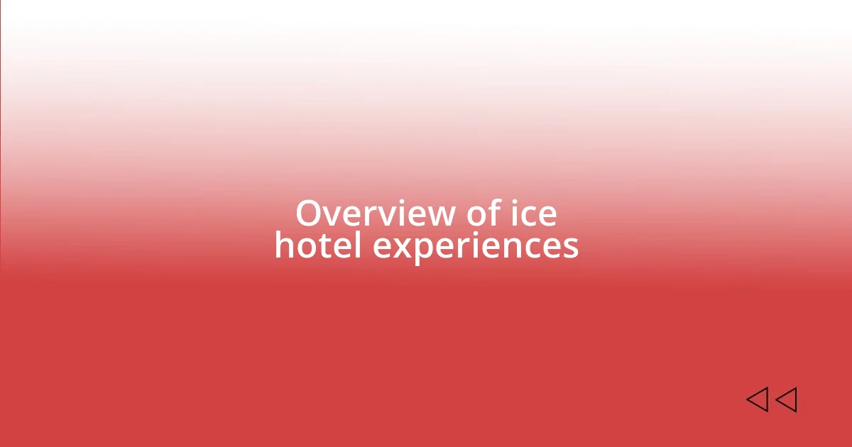 Overview of ice hotel experiences